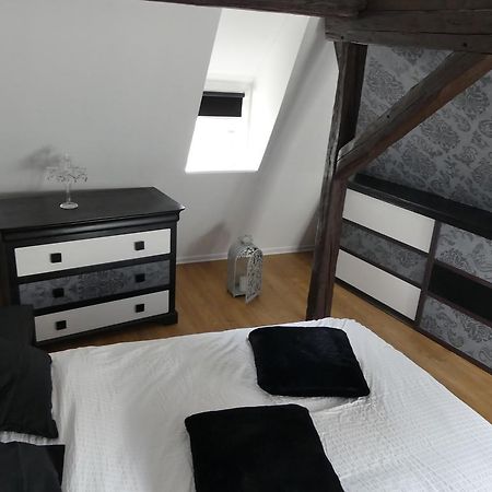 Appart Chaleureux Colmar Exterior photo